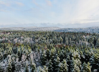 Aerial view of dense snow-covered forest in Norway during winter
