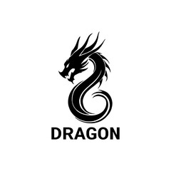 black and white modern dragon logo