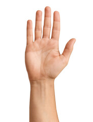 Fototapeta premium Realistic hand with hands up gesture, showing alert or surrender, ideal for signs, apps, or campaigns.