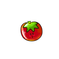 tomato on a white background