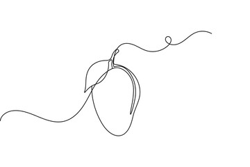 Mango one line drawing  minimalist continuous line fruit outline vector illustration
