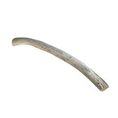 Obraz premium A smooth, curved piece of driftwood rests on a clean white background, showcasing its natural texture and color, ideal for use in nature-themed designs or decor