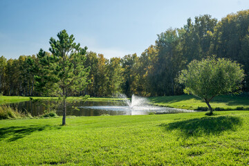 A Serene and Tranquil Lakeside View That Is Completely Surrounded by Lush Greenery