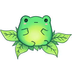 Cute Round Green Frog Sitting in Leaves- Hand Drawing Digital Character Illustration