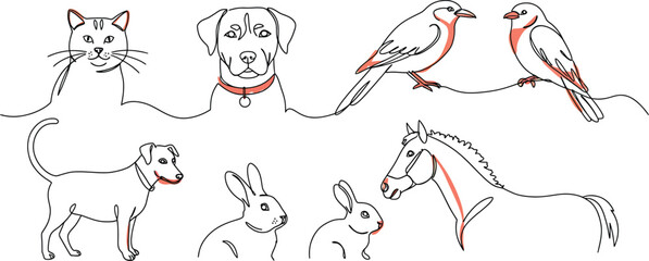 Six Animals in a Line: Cat, Dog, Bird, Fish, Rabbit, Horse