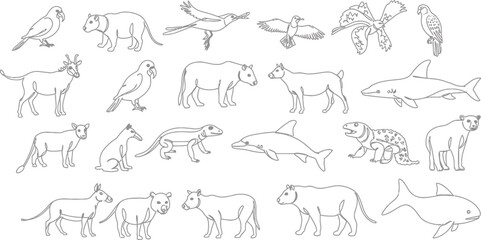 Fototapeta premium 24 Animals: Continuous Line Drawing