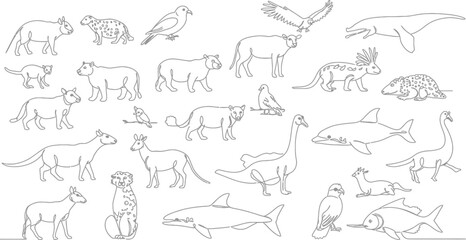 24 Animals: Single Line Illustrations