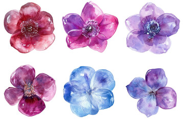 Digital flower clipart collection with watercolor texture in transparent png isolated on white background