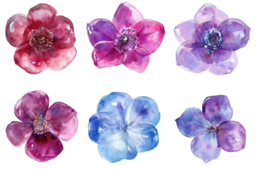 Digital flower clipart collection with watercolor texture in transparent png isolated on white background