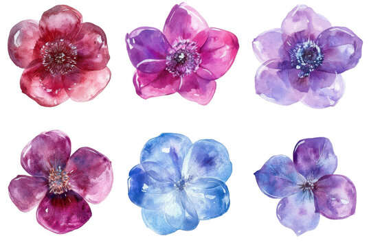 Digital flower clipart collection with watercolor texture in transparent png isolated on white background