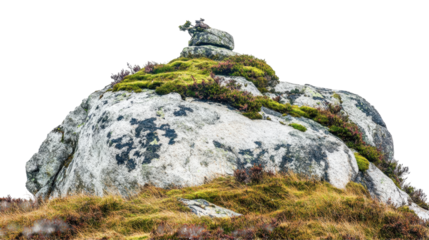 Rugged Boulder Covered with Moss and Grass in a Natural Outdoor Landscape Setting