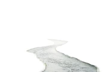 Silence river and yellow and green grass field in transparent png image on a white background