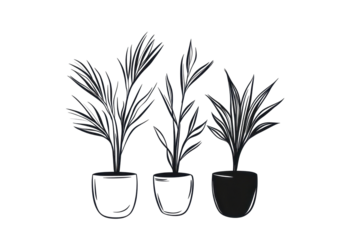 Elegant plant pot design in linear style shown in transparent png over bright white background