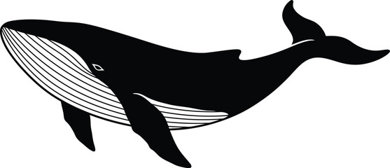Minimalist Whale Illustration