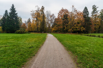 Autumn public park with footpath, meadow and colorful trees