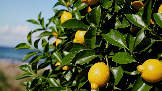Vibrant lemon tree swaying gently by the ocean on a sunny day