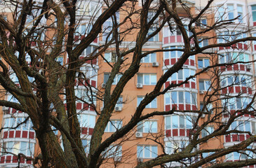 Pattern from the branches of an old withered tree against a multi storey brick house 
