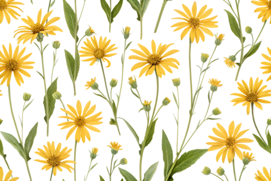 Arnica flowers seamless pattern background