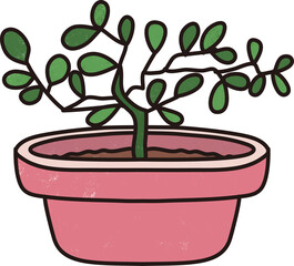 Obraz premium Plants in pink pots