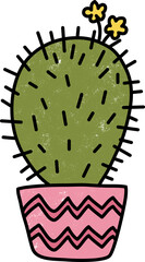 Spiny cactus in a zigzag pot