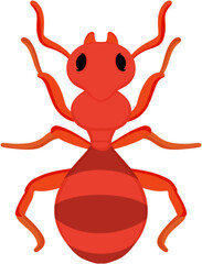 illustration ant