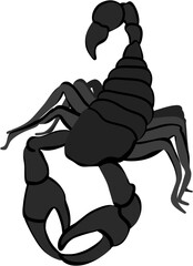 illustration scorpion