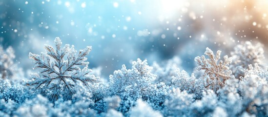 Close-up view of frosty winter scene