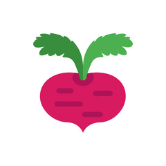 Illustration of a vibrant pink radish with green leaves and stem on a white background in simple style