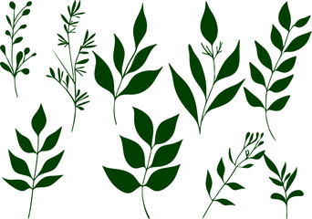 Green Leaf Silhouettes Collection, A set of green leaf silhouettes in flat style, perfect for botanical, nature, or eco-themed design and decoration use.