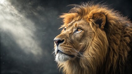 Majestic Gaze: The Lion King in Photorealistic Glory
