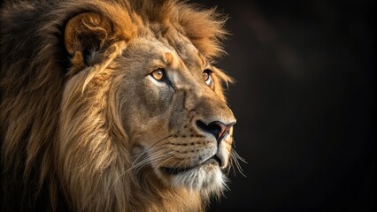 Obraz premium Majestic Gaze: The Lion King in Photorealistic Glory