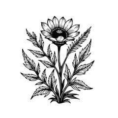 Monochrome botanical engraving: a stylized bloom with detailed leaves and stem