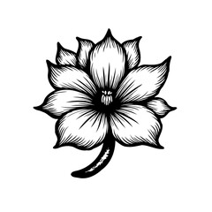 Elegant floral artwork with detailed linework on pristine backdrop for design projects