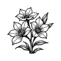 Detailed Floral Illustration: Elegant Lily Cluster in Black and White Etching Style
