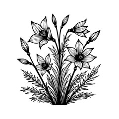 Elegant botanical illustration featuring lilies in a minimalist black and white design