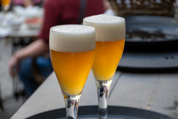 Belgian beer in glass in old brewery in Bruges, strong triple, tasty beverage, lunch with beer, tourist destination, Flanders, Belgium
