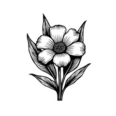 Detailed monochromatic floral illustration with intricate line work and shading