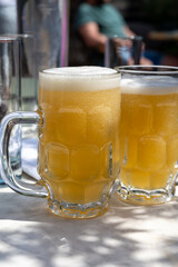 Belgian beer in glasses in old brewery in Bruges, light or dark, tasty beverage, lunch with beer, tourist destination, Flanders, Belgium
