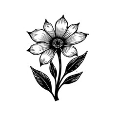 Intricate floral sketch evoking botanical artistry and delicate monochrome elegance
