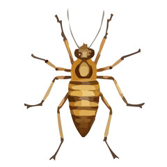 vector illustration of a brown bug