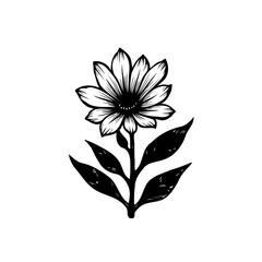 Elegant monochrome blossom illustration with detailed petals and textured foliage
