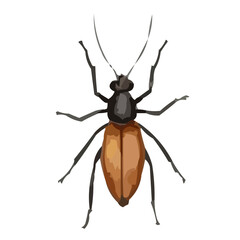 vector illustration of a bug