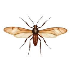 insect vector illustration