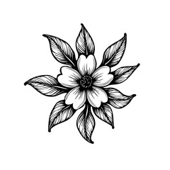 Elegant floral etching design, minimalist botanical art with intricate petal details