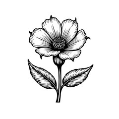 Fototapeta premium Delicate hand-drawn monochrome botanical illustration featuring a blooming flower