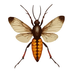 insect vector illustration