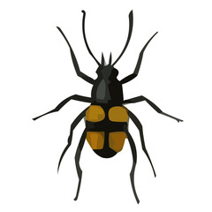 vector illustration of a bug
