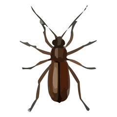 insect vector illustration
