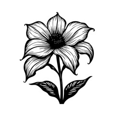 Intricate floral illustration featuring bold lines and delicate shading details