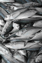 The market for marine fish. Street market. Sale of fresh fish. Freshly caught fish. Fish shop. Products for the restaurant. Fishery. Asian cuisine. Seafood. Healthy diet. Fisherman. Catch. Fresh food